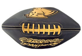Carolina Panthers Roadster Embroidered Full Size Football