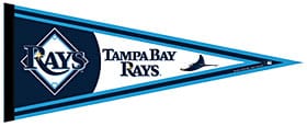 Tampa Bay Devil Rays Pennant