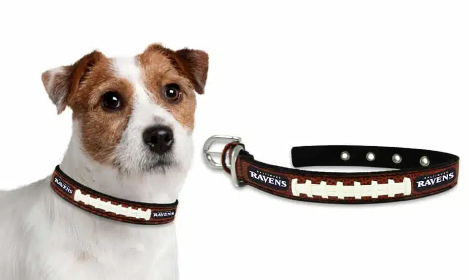 Baltimore Ravens Dog Collar - Small