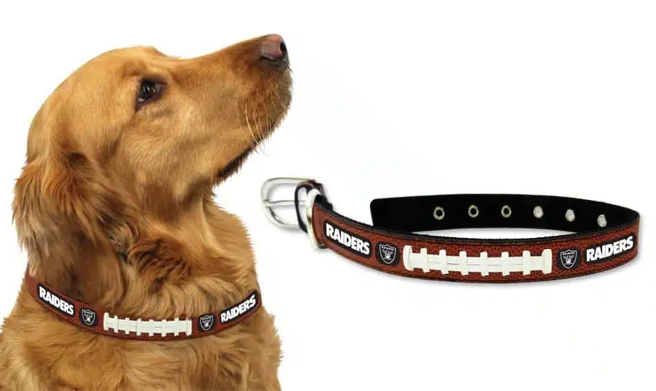 Oakland Raiders Dog Collar - Large