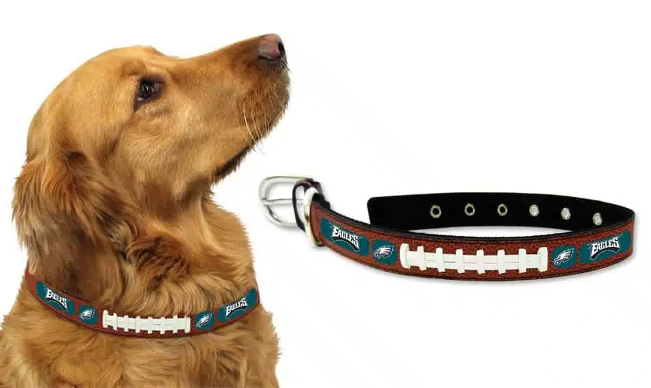 Philadelphia Eagles Dog Collar - Large