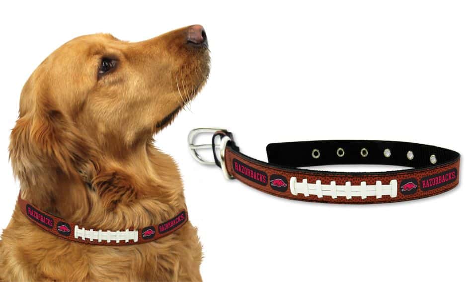 Arkansas Razorbacks Dog Collar - Medium