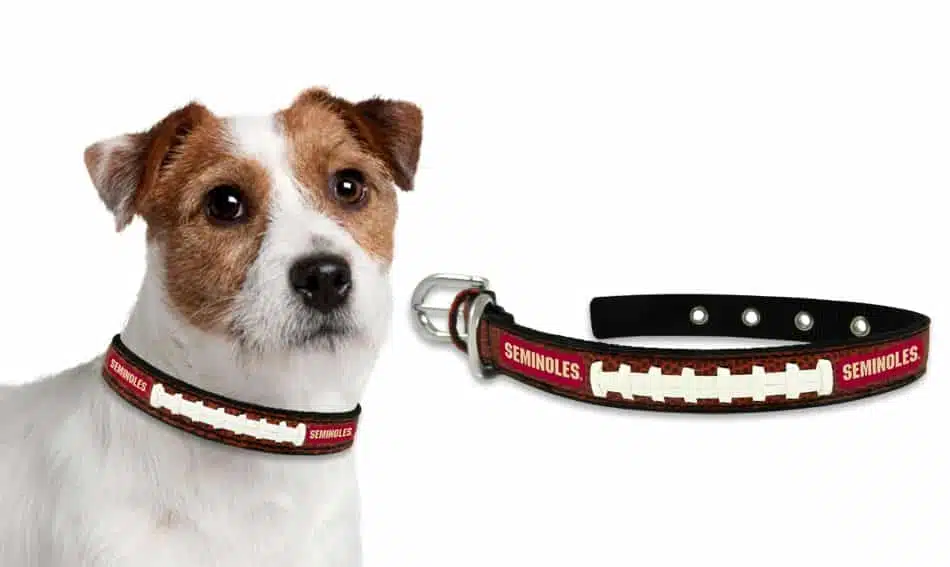 Florida State Seminoles Dog Collar - Small