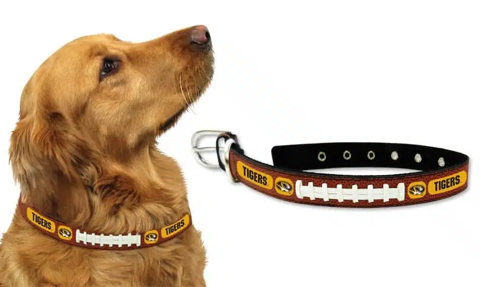 Missouri Tigers Dog Collar - Medium