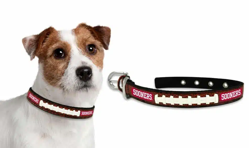 Oklahoma Sooners Dog Collar - Small