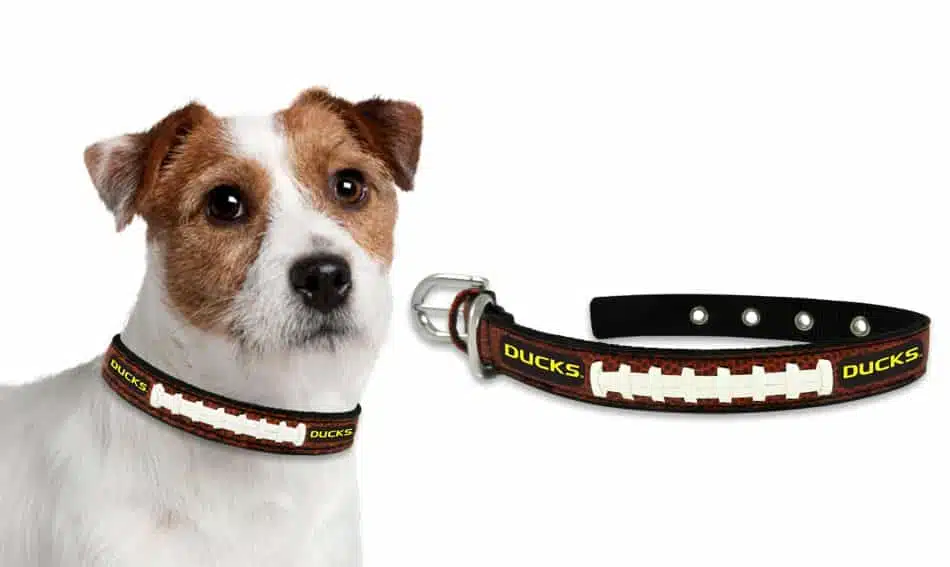 Oregon Ducks Dog Collar - Small