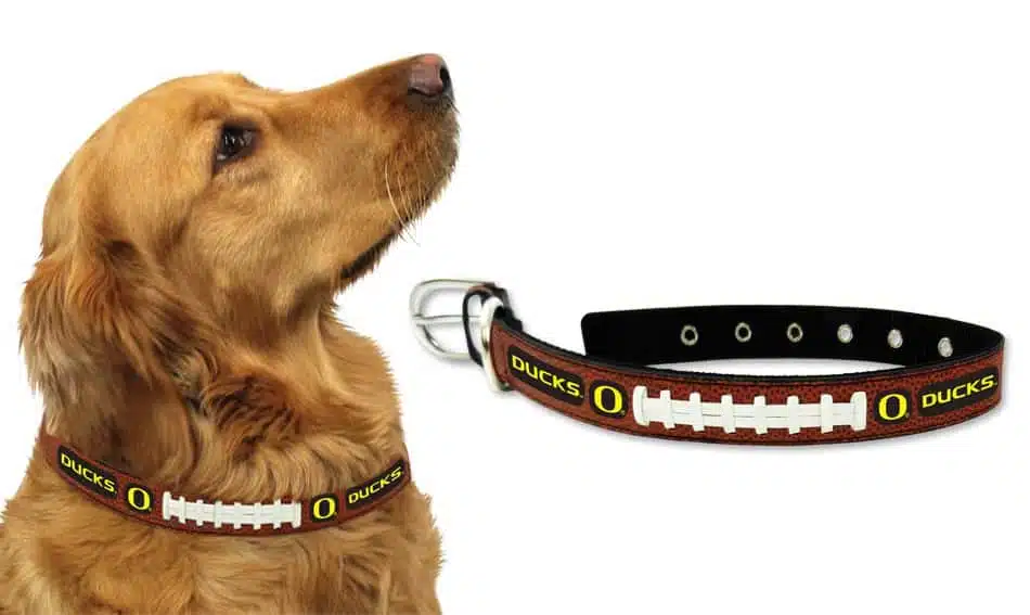 Oregon Ducks Dog Collar - Large
