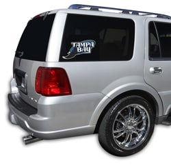 Tampa Bay Devil Rays Die-Cut Window Film - Large