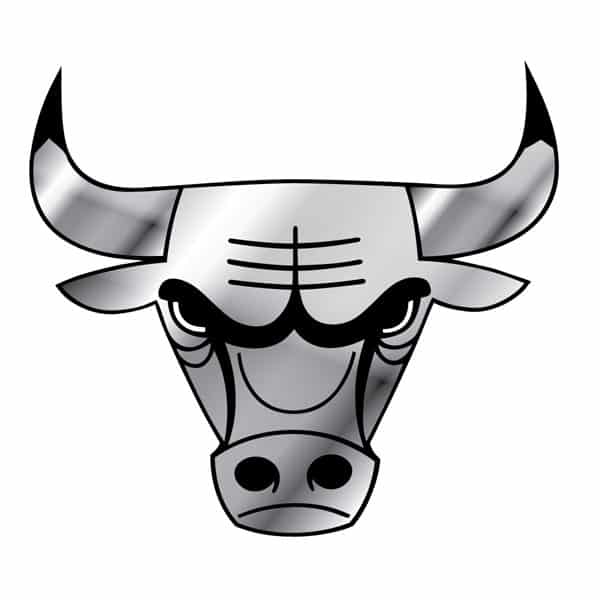Chicago Bulls Silver Auto Emblem