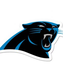 Carolina Panthers Logo on the GoGo