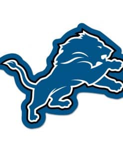 Detroit Lions Logo on the GoGo