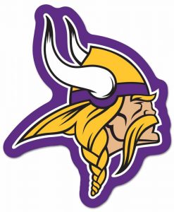 Minnesota Vikings Logo on the GoGo