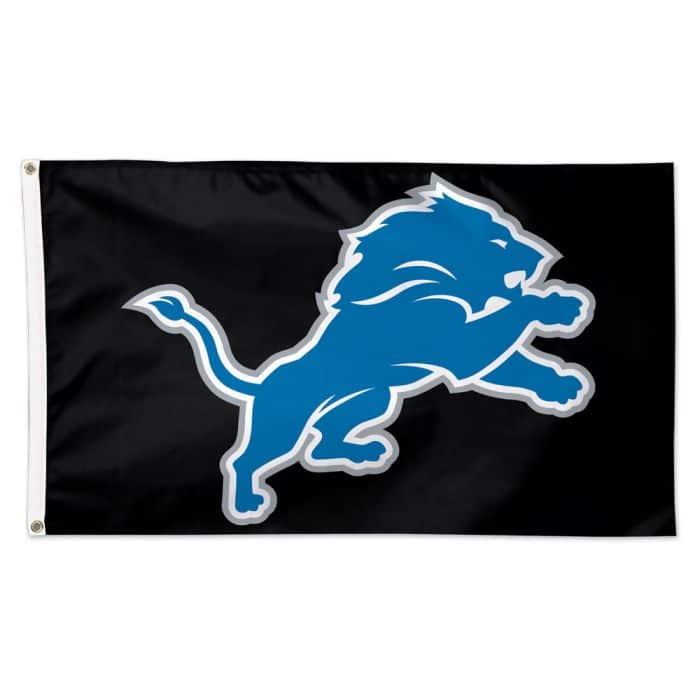 Detroit Lions Deluxe Black Logo 3'x5' Flag