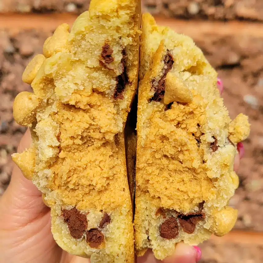 Stuffed: Peanut Butter Cream Chocolate Chip Cookie - My Big Fat Cookie - Image 2