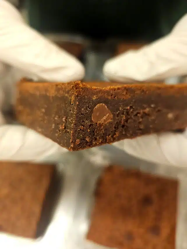 Chewy & Fudgy Chocolate Brownie - My Big Fat Cookie - Image 4